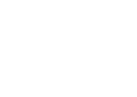 Google Partner